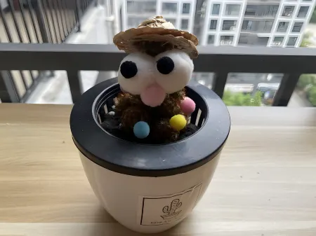 Zhangjiajie Cat Theme Inn