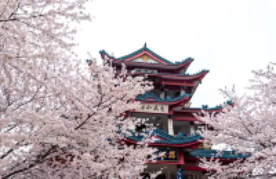 SuYe·High-rise Designer Hotel