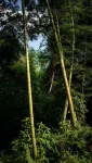 Trip.com Group Country Retreats (Mount Emei Yixi-Qingyin Joint Resort) - con vista montagne