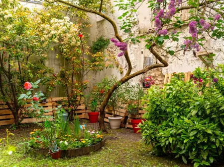 Ibis Paris Porte de Vanves Parc des Expositions Отели рядом со станцией Gare De Vanves-Malakoff