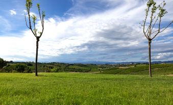 Colle Alberti Country House