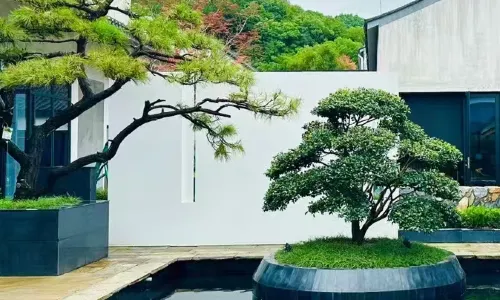 Ningbo Taolu SCHOLARS Hotel (Dongqian Lake)