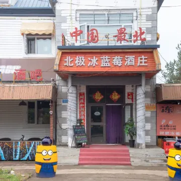 Arctic Ice Blueberry Winery (Arctic Village)