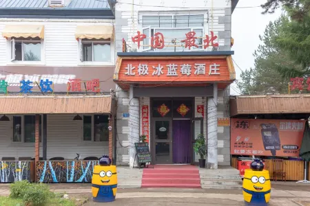 Arctic Ice Blueberry Winery (Arctic Village) Отели рядом с достопримечательностью «White Birch Forest»