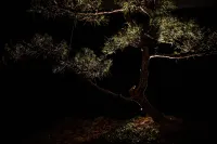 CONTEXTED boutique villa