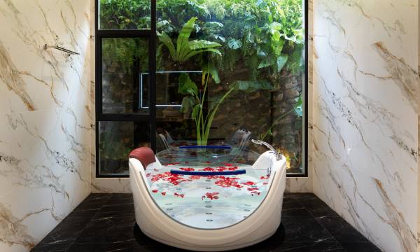 LA Plante Siem Reap