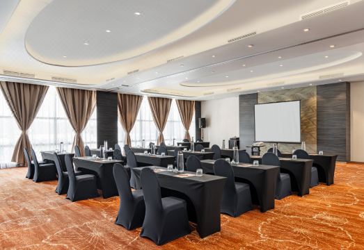 1. 렉시스 히비스커..