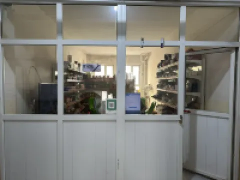 Shache International Youth Hostel