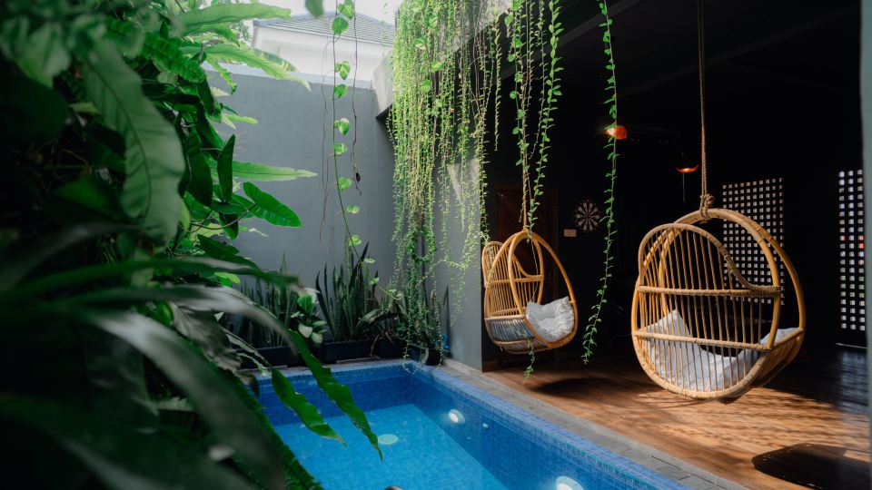 Illusion Homestay