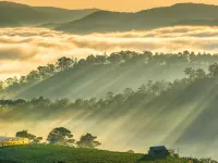 อโมรี ดาลัต โรงแรม โรงแรมใกล้สวนไฮเดรนเยีย