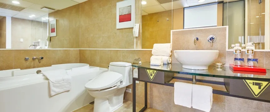 台北凱撒大飯店 房間 Photos