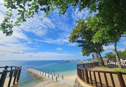 사보이 호텔 수영장 시설