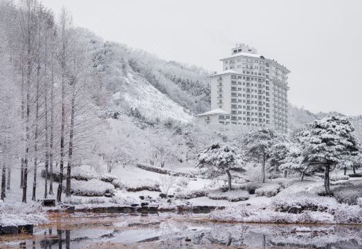엘리시안 강촌 전경