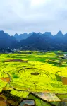 Fenglin Diaojiaolou Guesthouse - vue sur la montagne