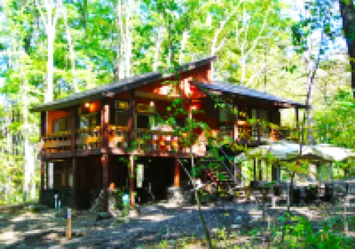 A private lodge where you can enjoy an authentic BBQ surrounded by nature