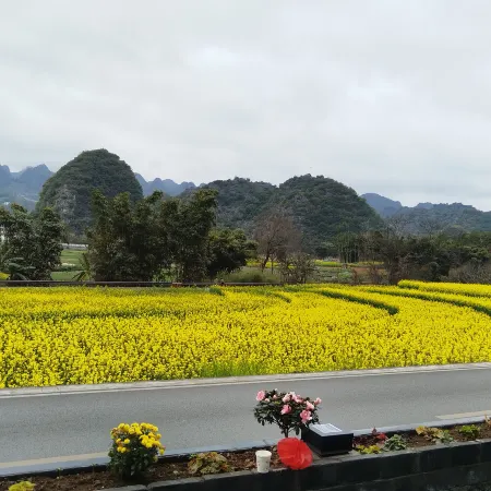 Wanfenglin Qiluan Mountain House Homestay