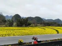Wanfenglin Qiluan Mountain House Homestay - 2-Star