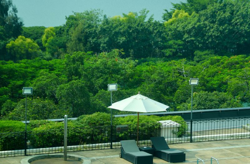 Marco Polo Xiamen photo 5