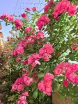 Xichang Anning Wenxin Yizhan Homestay