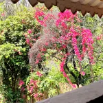 Leisure Wild Abode