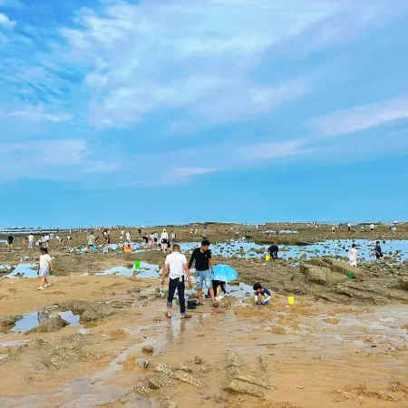 Rizhao · Xinyue Yujia · Luxurious & Romantic Atmosphere Boutique Homestay