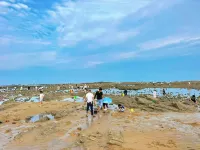 Rizhao · Xinyue Yujia · Luxurious & Romantic Atmosphere Boutique Homestay - Kitchens