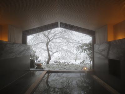 スパ・大浴場 星野リゾート 界 箱根の写真