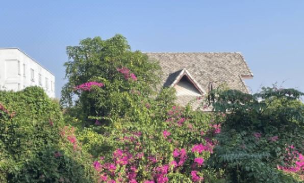 3Q Chiangmai Residence