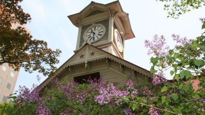 ホテル周辺 ロイトン札幌の写真