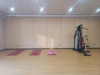 Linyi Baihong Jintang Business Hotel - gimnasio