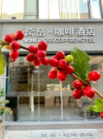 Xiyin Coffee Hotel (Baoshan High-speed Railway Station)