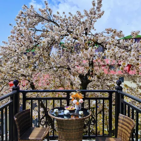 Floral Hotel· Mountain Forest Hotel (Guling Street Cableway Shangzhan Branch)
