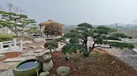 Haining Ruixiangyuan Homestay - Quầy Bar