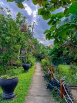 Huế Lotus Homestay Các khách sạn ở 