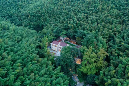 Rest Villa Отели рядом с достопримечательностью «Shanjuan Cave»