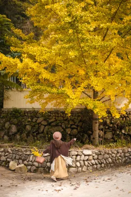 Chuxin Sanshe Dayin Xisheng Hostel Hotels near Huatai Scenic Area