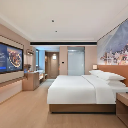 Vienna Hotel Linqing Canal Culture Plaza Store