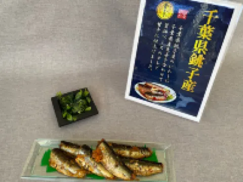 東横INN西船橋原木インター 市川のホテル