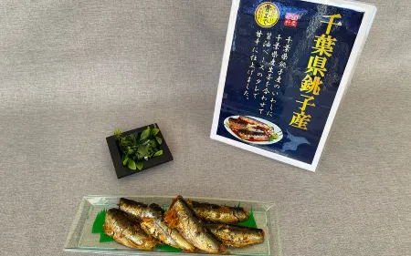 Toyoko Inn Nishi-Funabashi Baraki Inter