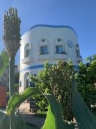 Cicada said Greece Homestay