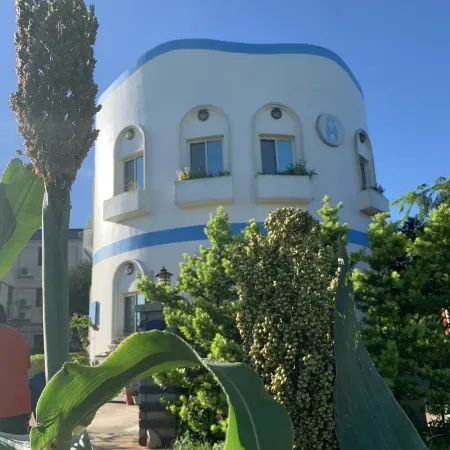 Cicada said Greece Homestay