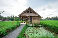 Pondok Mawas