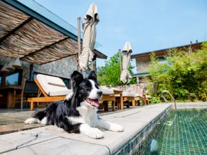 난징 네이키드 힐 리조트