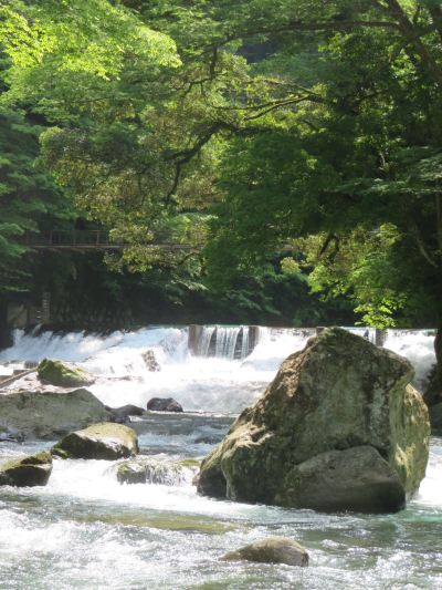 ホテルからの眺望 白壁荘の写真