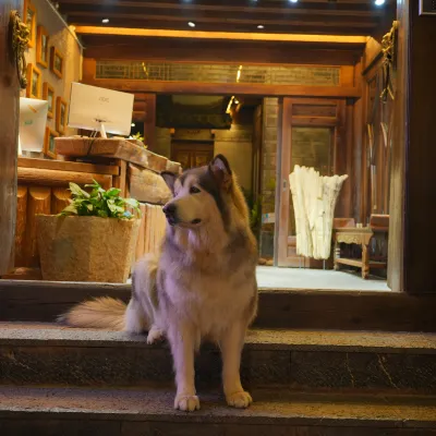 Yangguang lijiang Courtyard Hotels near Lijiang Ancient Town - South Gate Square