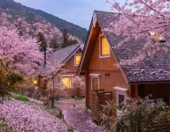 Ashi Hakone Cabin Retreat - Bungalows