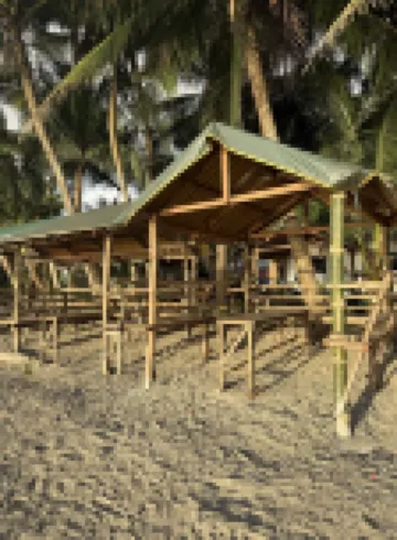 Casita de Flocerfida