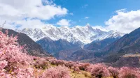 Mainling Jixianshan · Namcha Barwa · Scenic Homestay (Suosong Village) - Mountain view