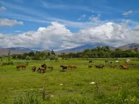 Ahe No.1 · Wind Song Wilderness | Panoramic Camp Resort (Ahe Highway, Altay) - Romantic