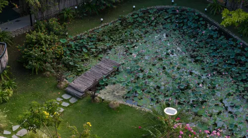 To Boutique Garden - Завтрак
